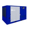 Промышленный винтовой компрессор Ceccato DRF 220 IVR D
