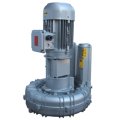 Воздуходувка FPZ K12-TS-GVR-9.20-Flex-coupling-Vertical-IE2