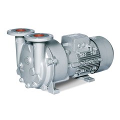 Вакуумный насос Elmo Rietschle L-BV5 2BV5 121-8KH04-8S